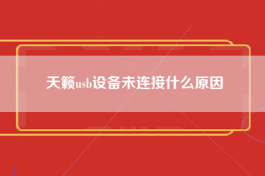 天籁usb设备未连接什么原因