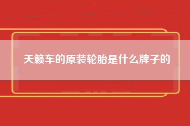 天籁车的原装轮胎是什么牌子的