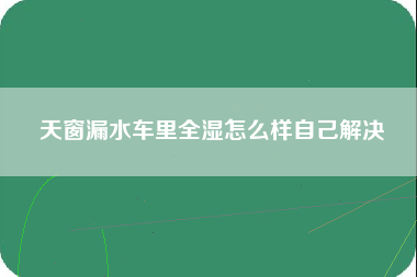 天窗漏水车里全湿怎么样自己解决