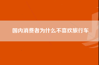 国内消费者为什么不喜欢旅行车