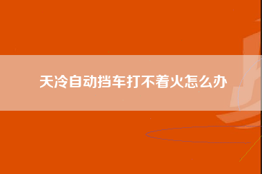 天冷自动挡车打不着火怎么办