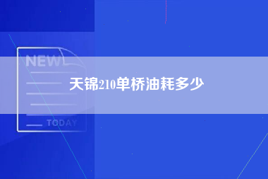 天锦210单桥油耗多少