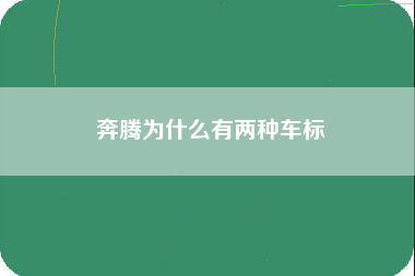 奔腾为什么有两种车标