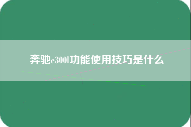 奔驰e300l功能使用技巧是什么