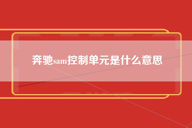 奔驰sam控制单元是什么意思