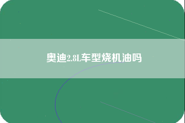 奥迪2.8L车型烧机油吗