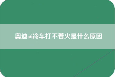 奥迪a6冷车打不着火是什么原因