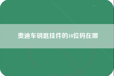 奥迪车钥匙挂件的10位码在哪