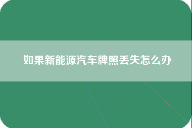 如果新能源汽车牌照丢失怎么办