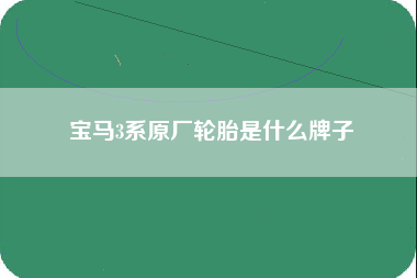 宝马3系原厂轮胎是什么牌子