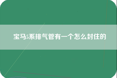 宝马5系排气管有一个怎么封住的