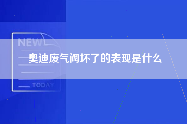 奥迪废气阀坏了的表现是什么