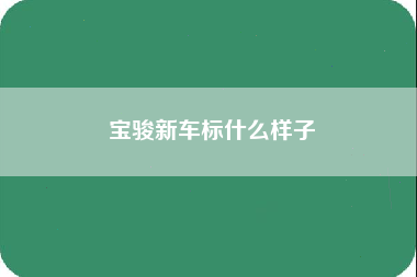 宝骏新车标什么样子