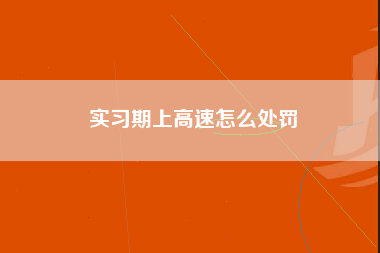 实习期上高速怎么处罚