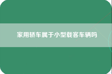 家用轿车属于小型载客车辆吗