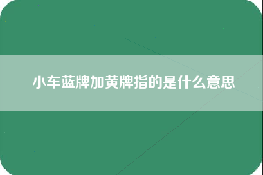 小车蓝牌加黄牌指的是什么意思