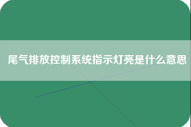 尾气排放控制系统指示灯亮是什么意思