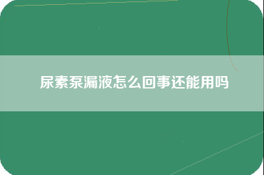 尿素泵漏液怎么回事还能用吗