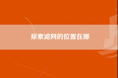 尿素滤网的位置在哪