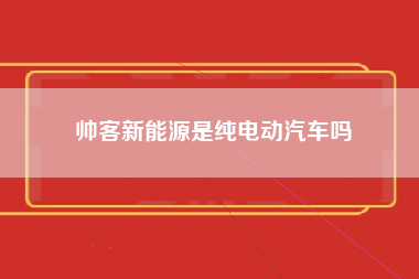 帅客新能源是纯电动汽车吗