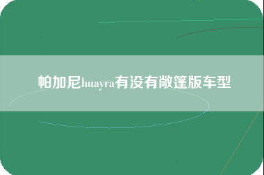 帕加尼huayra有没有敞篷版车型