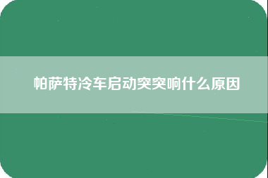 帕萨特冷车启动突突响什么原因