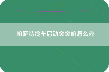 帕萨特冷车启动突突响怎么办