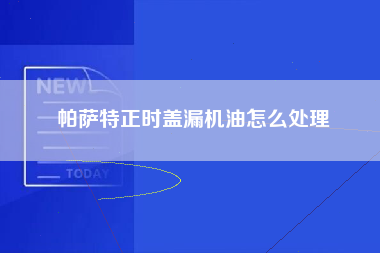 帕萨特正时盖漏机油怎么处理