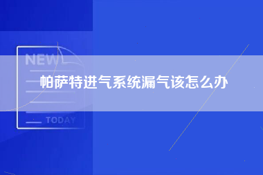 帕萨特进气系统漏气该怎么办