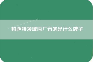 帕萨特领域原厂音响是什么牌子