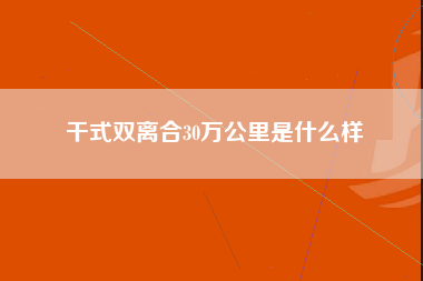 干式双离合30万公里是什么样