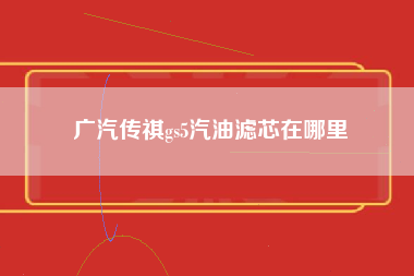 广汽传祺gs5汽油滤芯在哪里