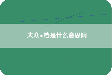 大众m档是什么意思啊