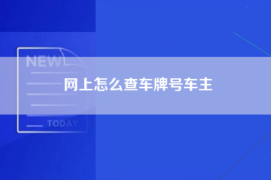 网上怎么查车牌号车主