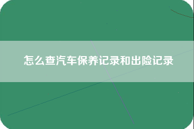 怎么查汽车保养记录和出险记录