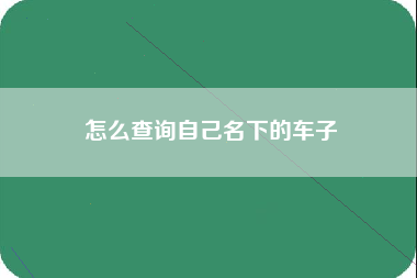 怎么查询自己名下的车子