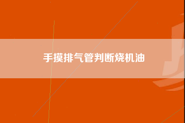 手摸排气管判断烧机油