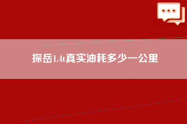 探岳1.4t真实油耗多少一公里