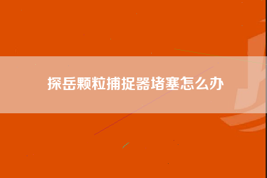 探岳颗粒捕捉器堵塞怎么办