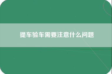 提车验车需要注意什么问题