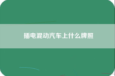 插电混动汽车上什么牌照