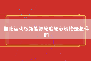 揽胜运动版新能源轮胎轮毂规格是怎样的