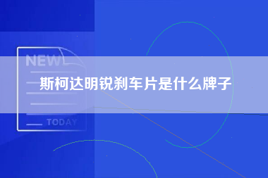 斯柯达明锐刹车片是什么牌子