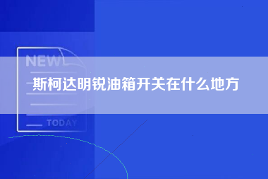 斯柯达明锐油箱开关在什么地方