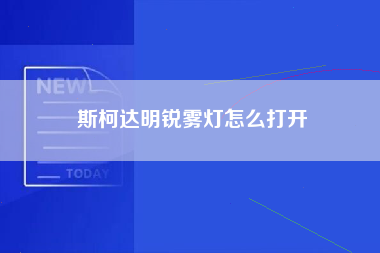 斯柯达明锐雾灯怎么打开