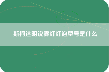 斯柯达明锐雾灯灯泡型号是什么