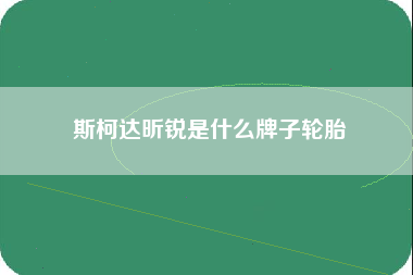 斯柯达昕锐是什么牌子轮胎