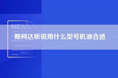 斯柯达昕锐用什么型号机油合适