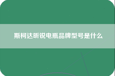 斯柯达昕锐电瓶品牌型号是什么