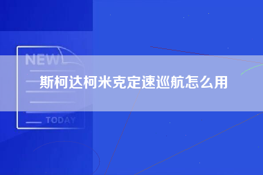 斯柯达柯米克定速巡航怎么用